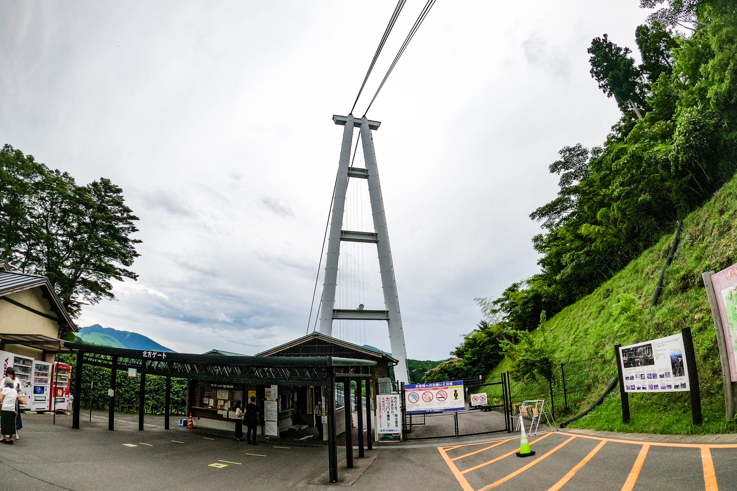 九重夢大吊橋 8