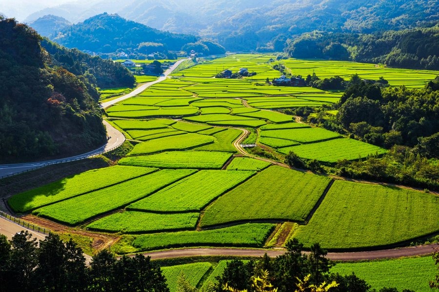 国東半島 六郷満山