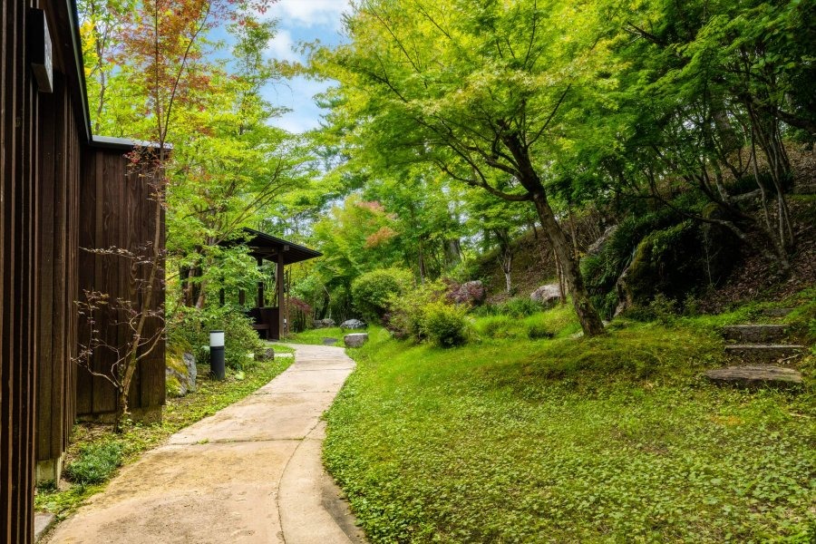 ゆむたの風景