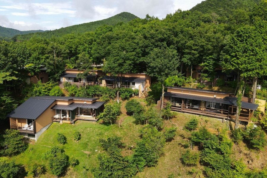 龍のひげの全景