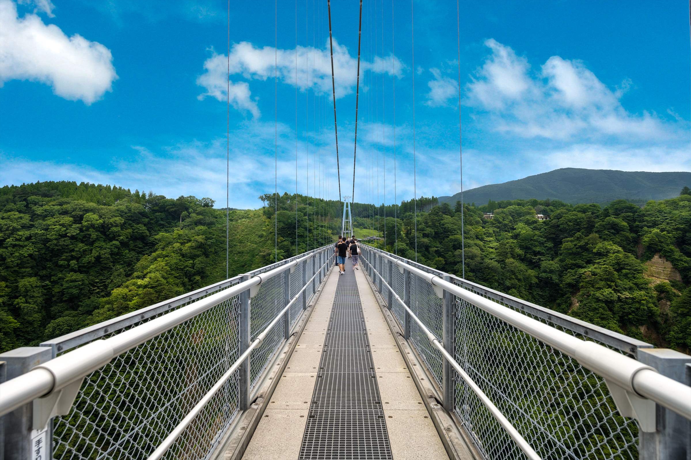 九重夢大吊橋 1