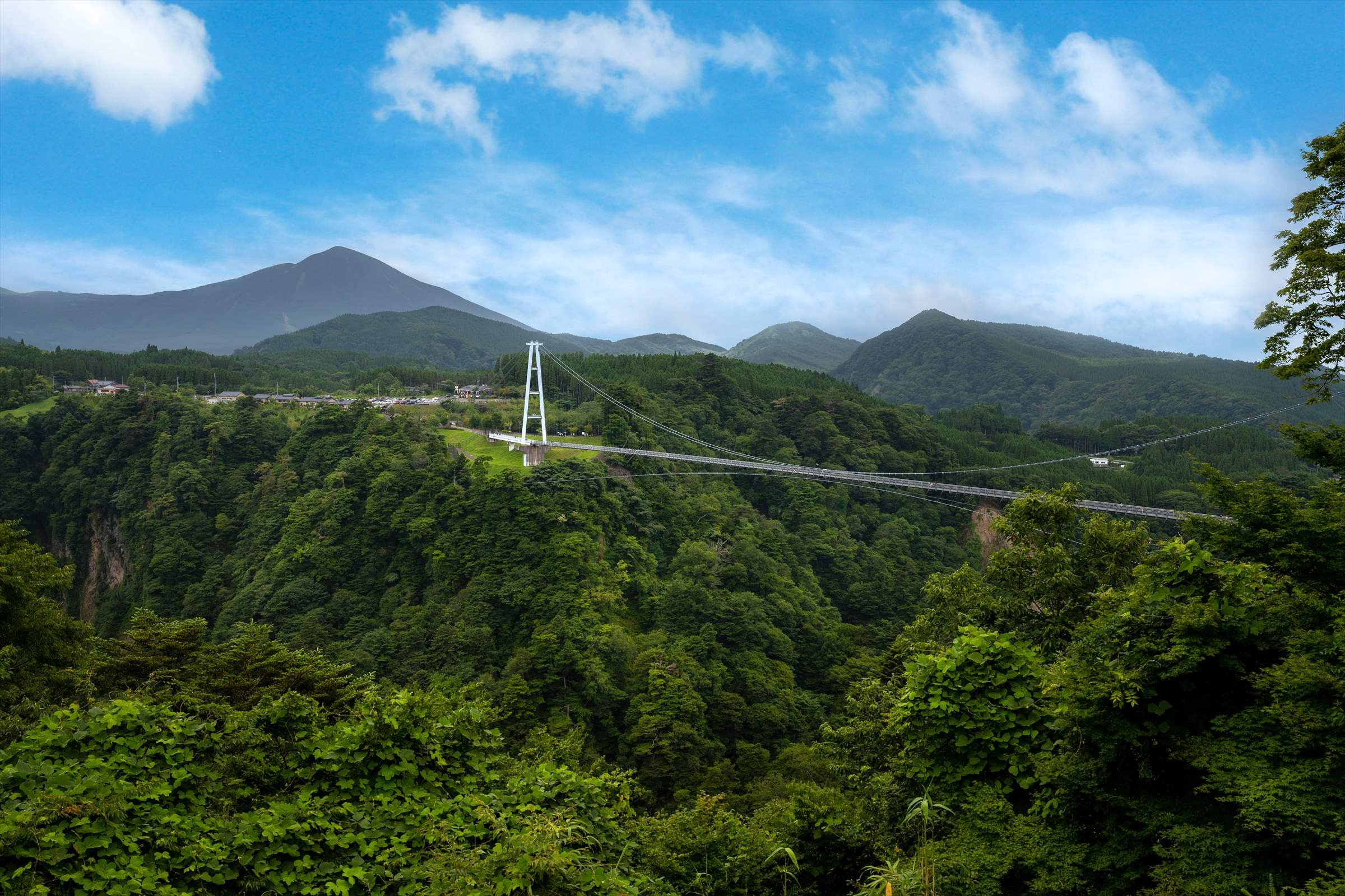 九重夢大吊橋 2
