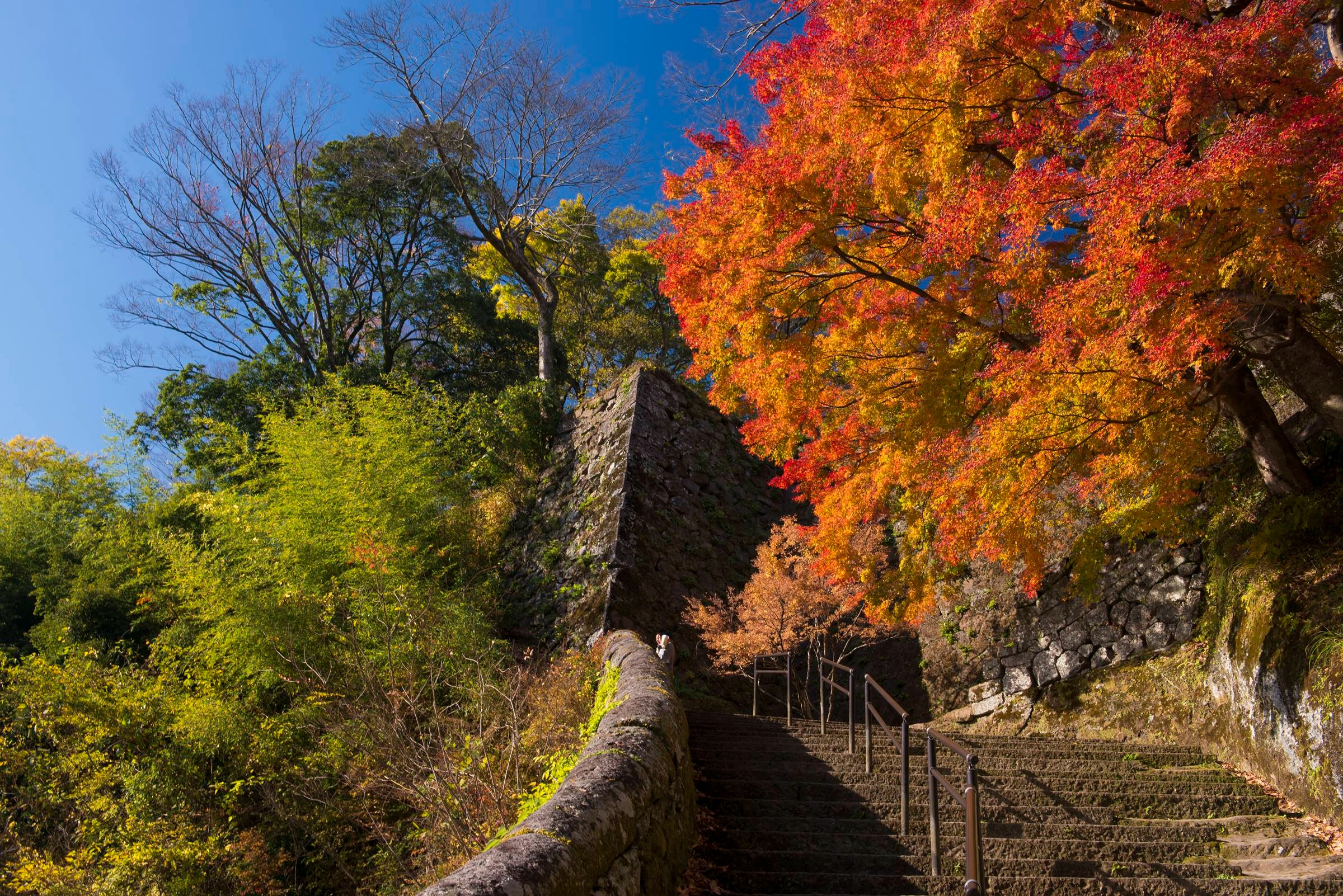 竹田 岡城跡 3