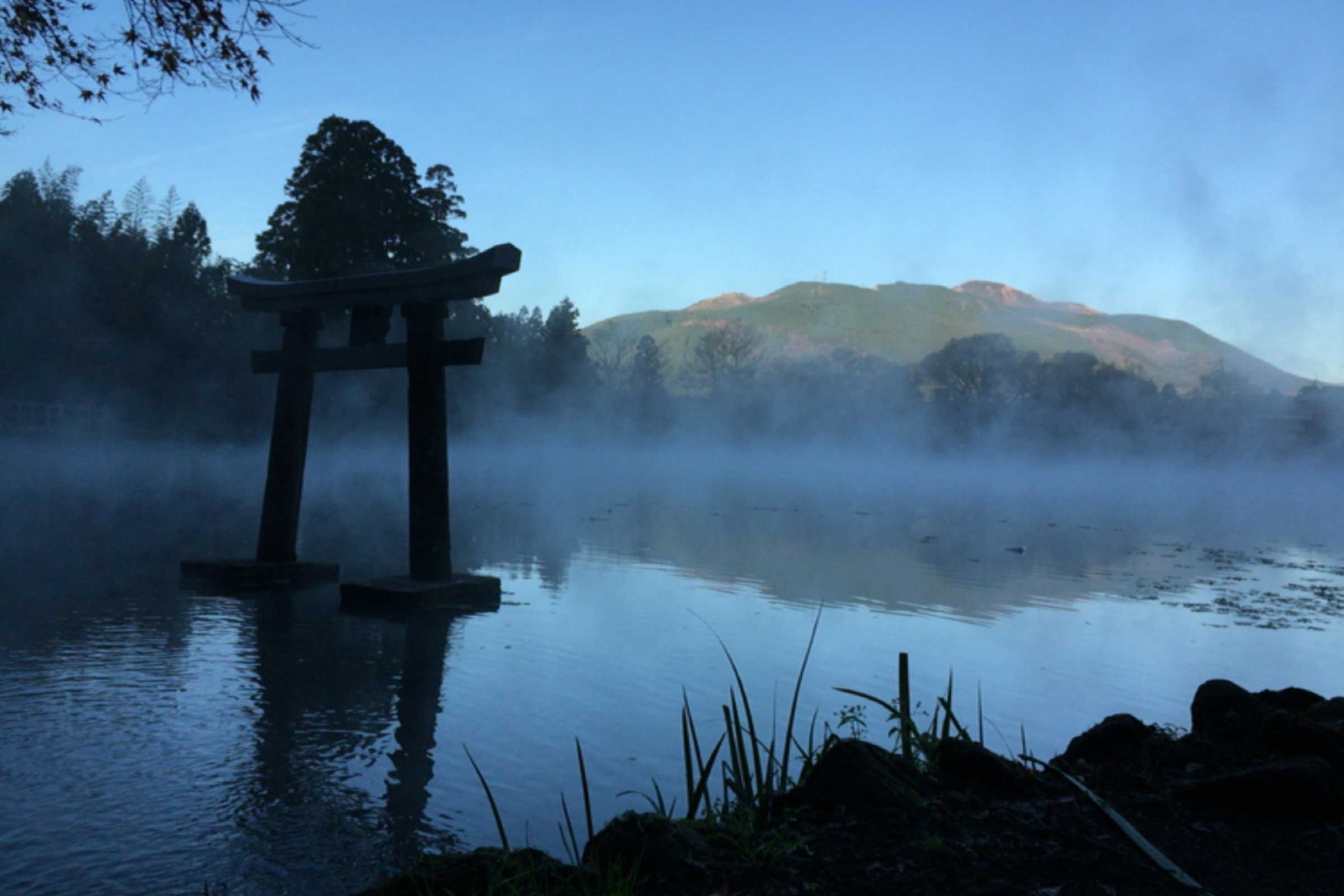 金鱗湖 4
