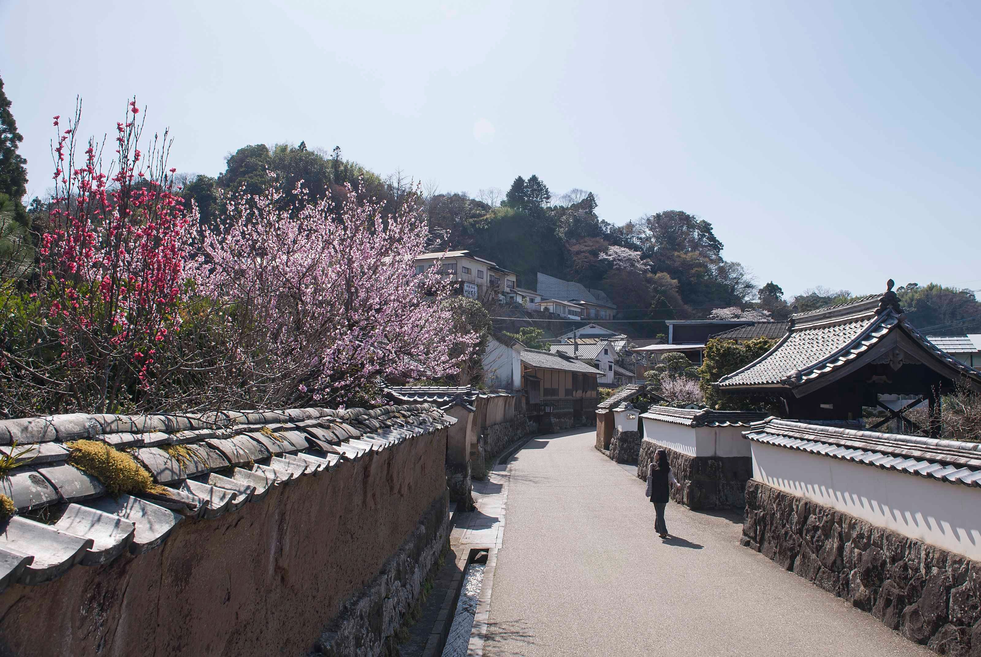 竹田 岡城跡 4