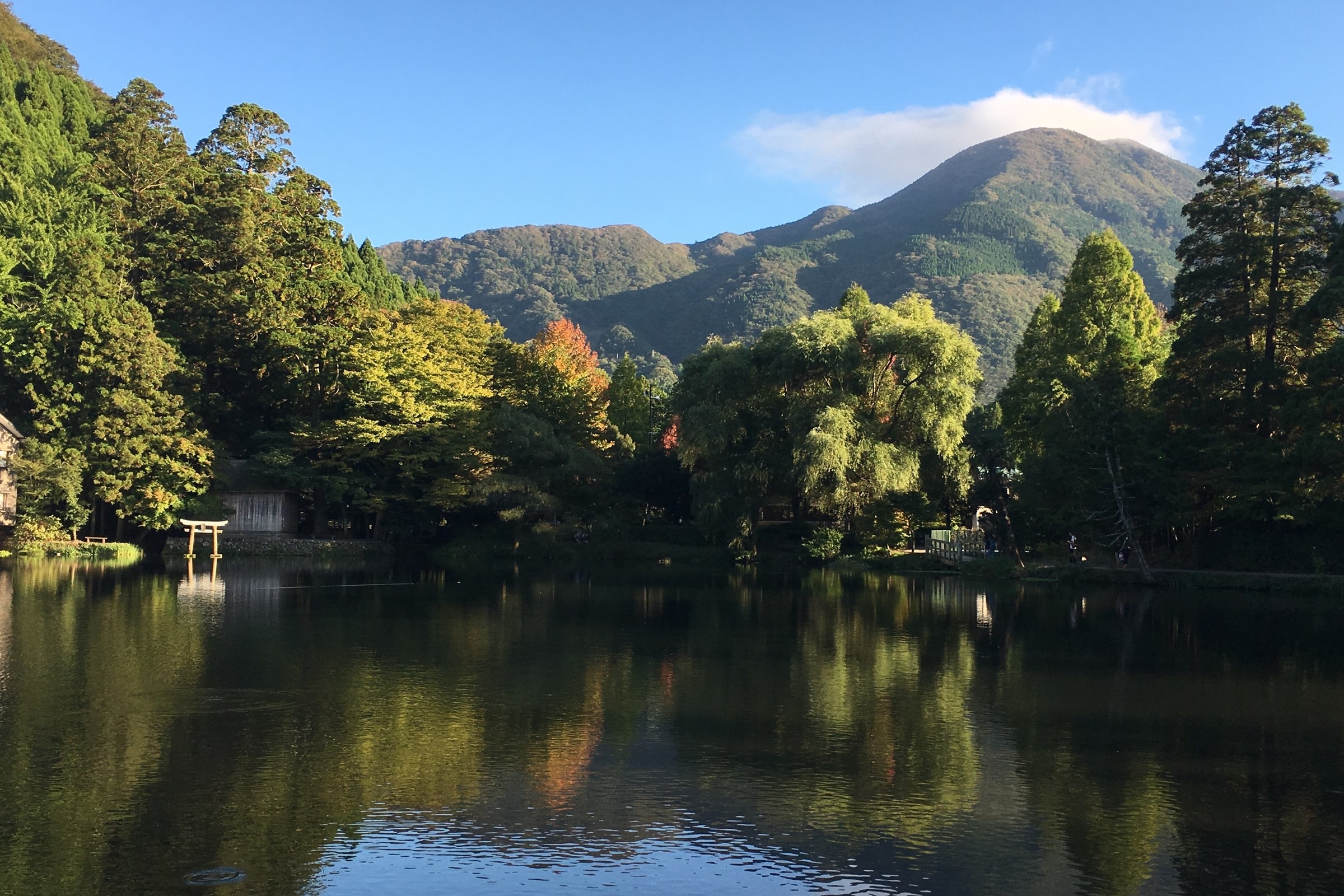 金鱗湖 5