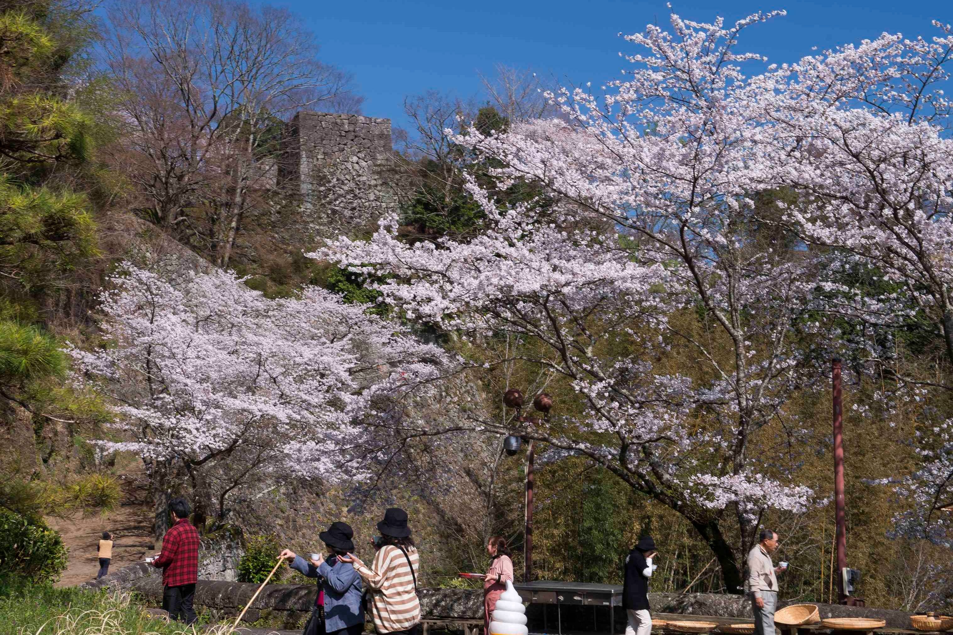 竹田 岡城跡 6