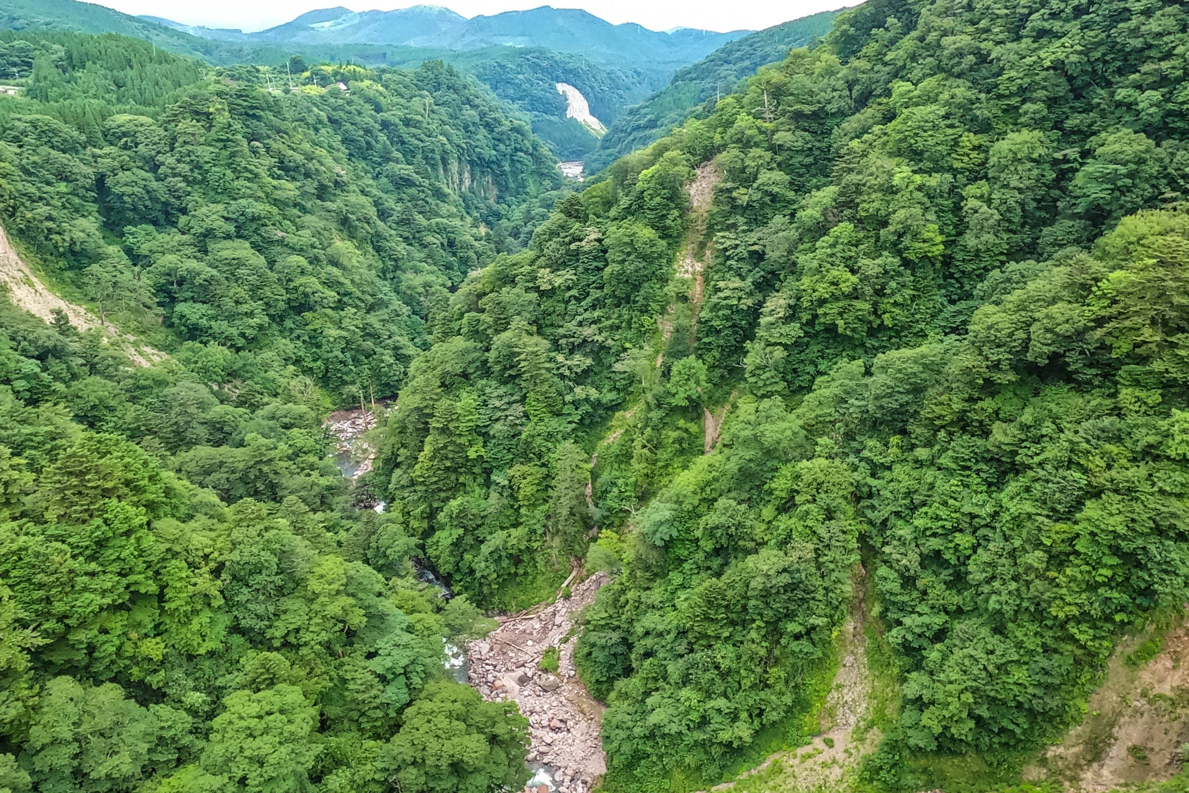 九重夢大吊橋 6